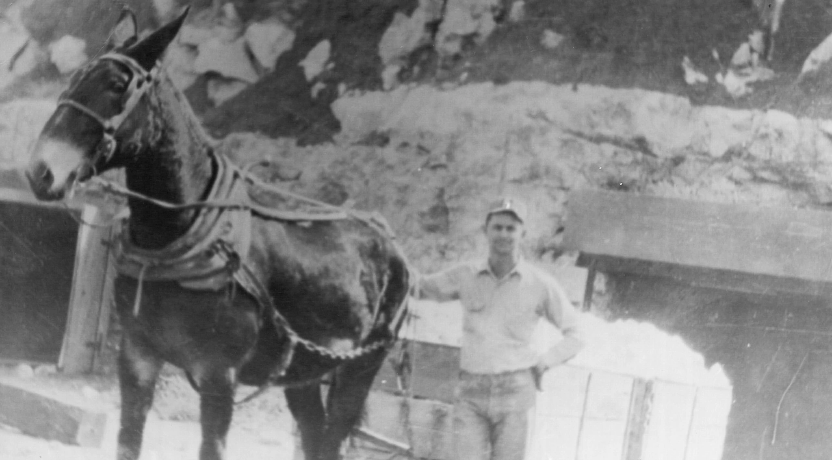 1930s-5